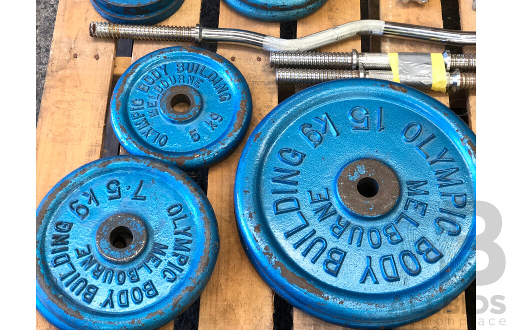 Selection of Barbells, Dumbells and Weight Discs