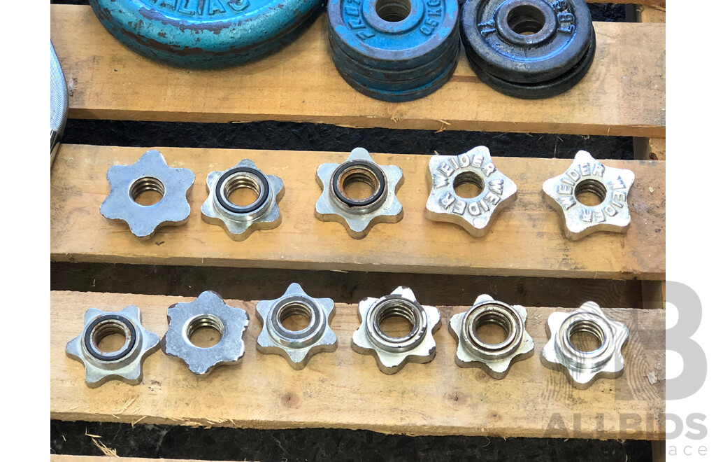 Selection of Barbells, Dumbells and Weight Discs