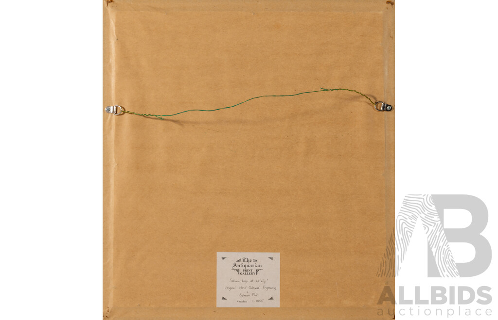 William Henry Bartlett, (19th Century, British, 1809-1854), Salmon Leap at Leixlip with Salmon Flies, Original Hand Coloured Engraving (c1855), 46 x 42 cm (frame)