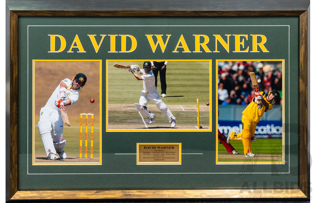 David Warner Framed Cricket Montage