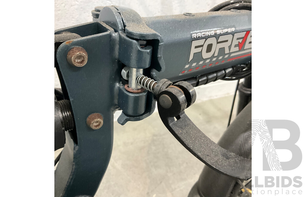 Forever Foldable E-bike