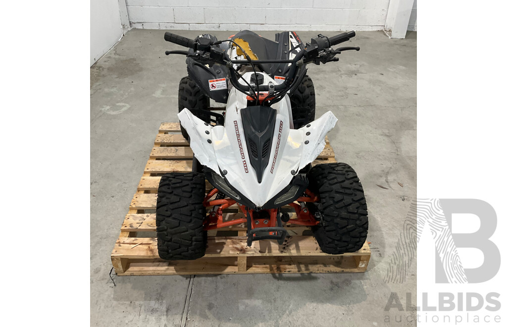 Assassin Predator 110 KIDS Quad Dirt Pit Bike Go-Kart 4-Wheeler Buggy