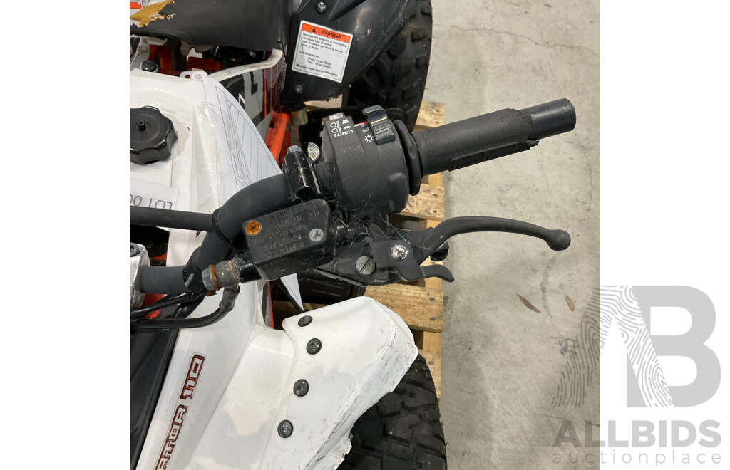 Assassin Predator 110 KIDS Quad Dirt Pit Bike Go-Kart 4-Wheeler Buggy