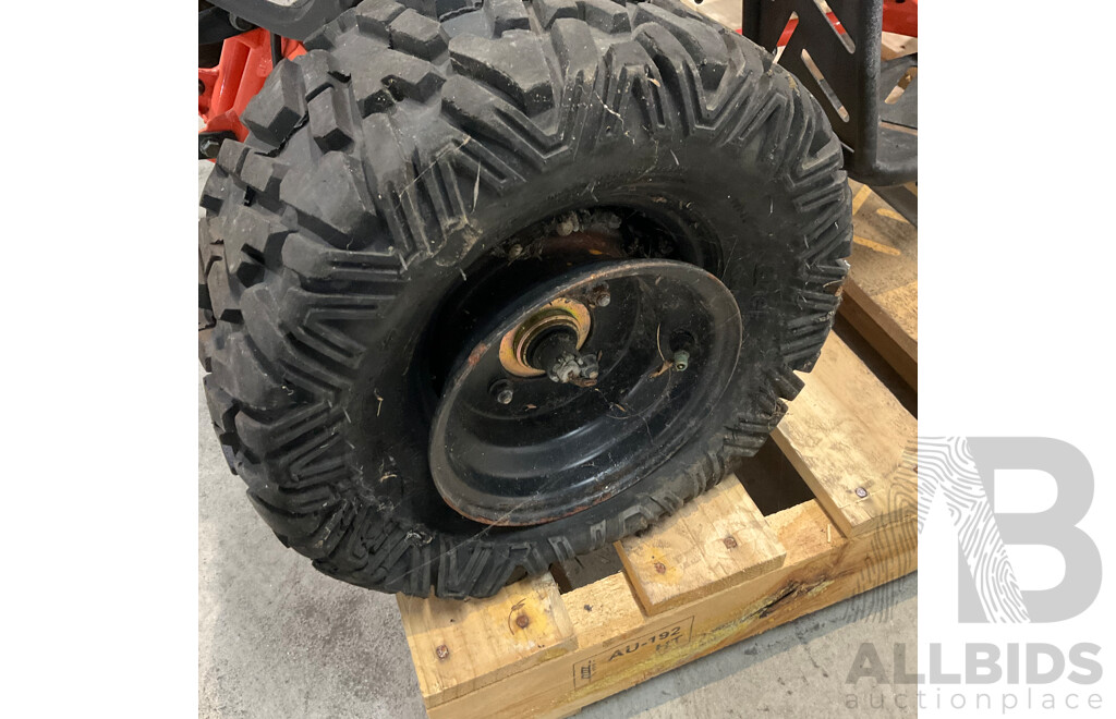 Assassin Predator 110 KIDS Quad Dirt Pit Bike Go-Kart 4-Wheeler Buggy