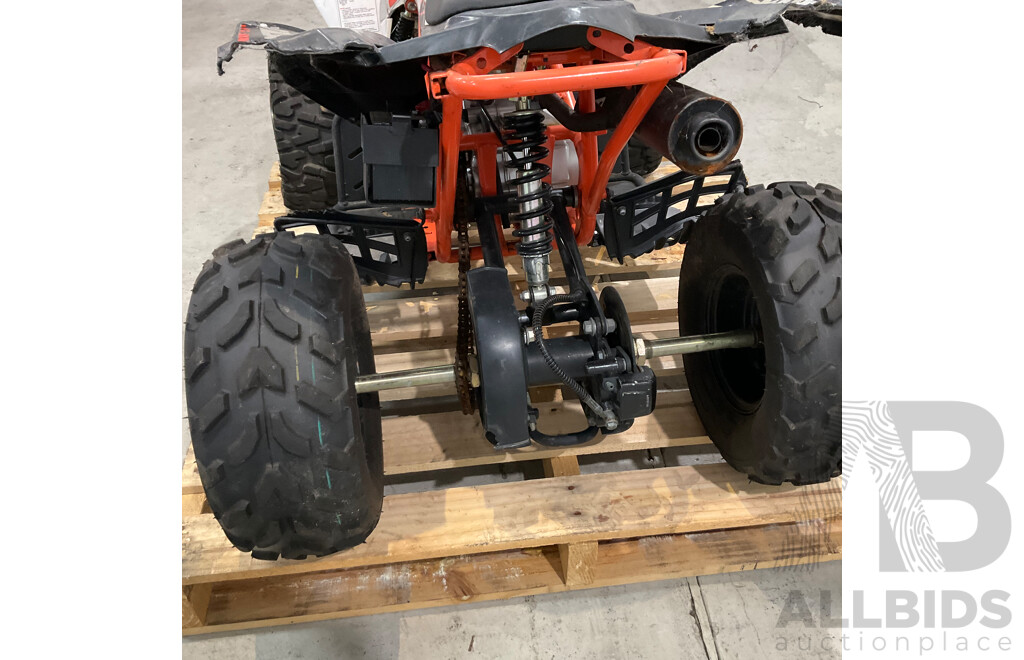 Assassin Predator 110 KIDS Quad Dirt Pit Bike Go-Kart 4-Wheeler Buggy