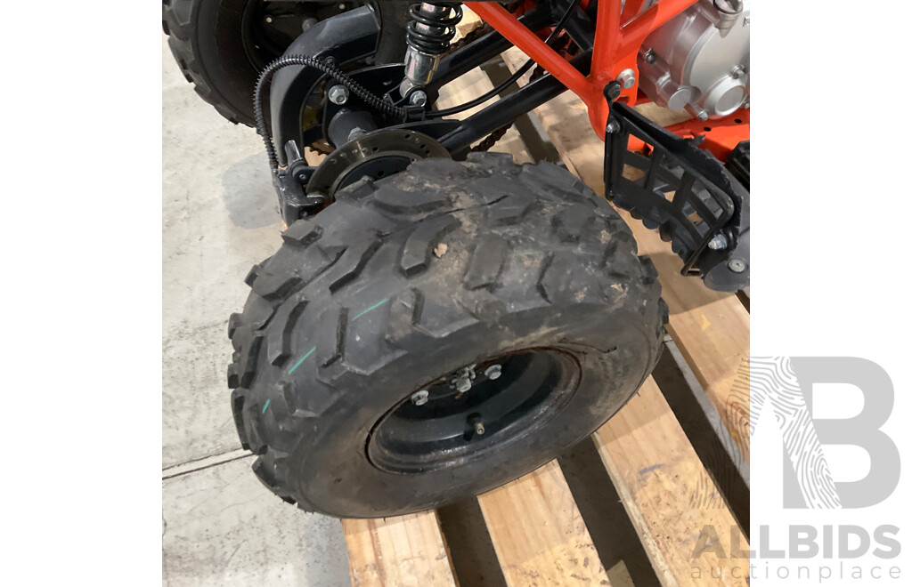 Assassin Predator 110 KIDS Quad Dirt Pit Bike Go-Kart 4-Wheeler Buggy