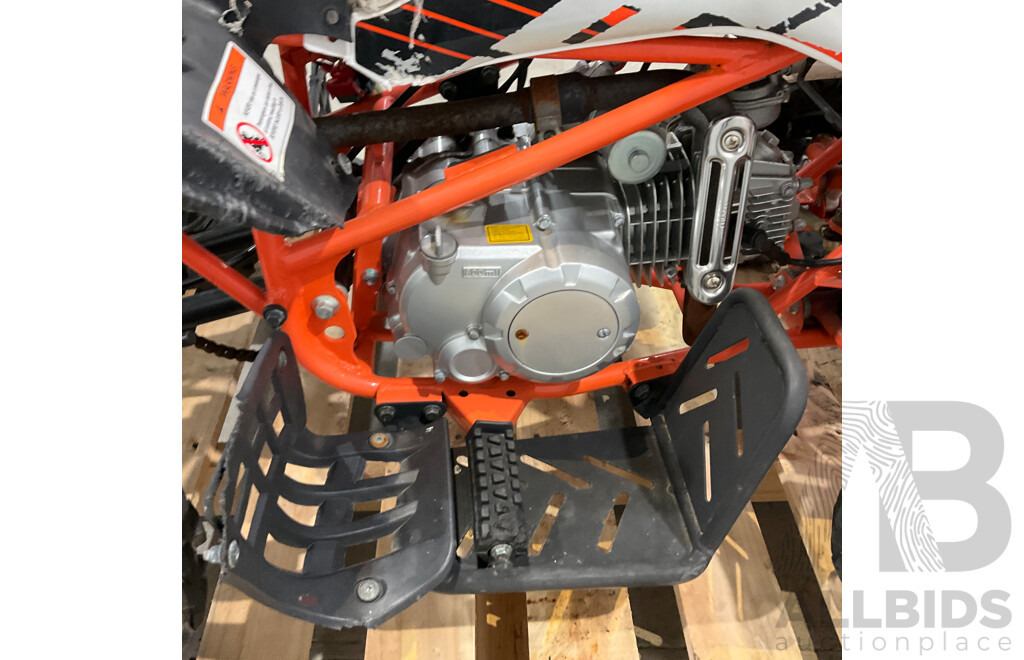 Assassin Predator 110 KIDS Quad Dirt Pit Bike Go-Kart 4-Wheeler Buggy