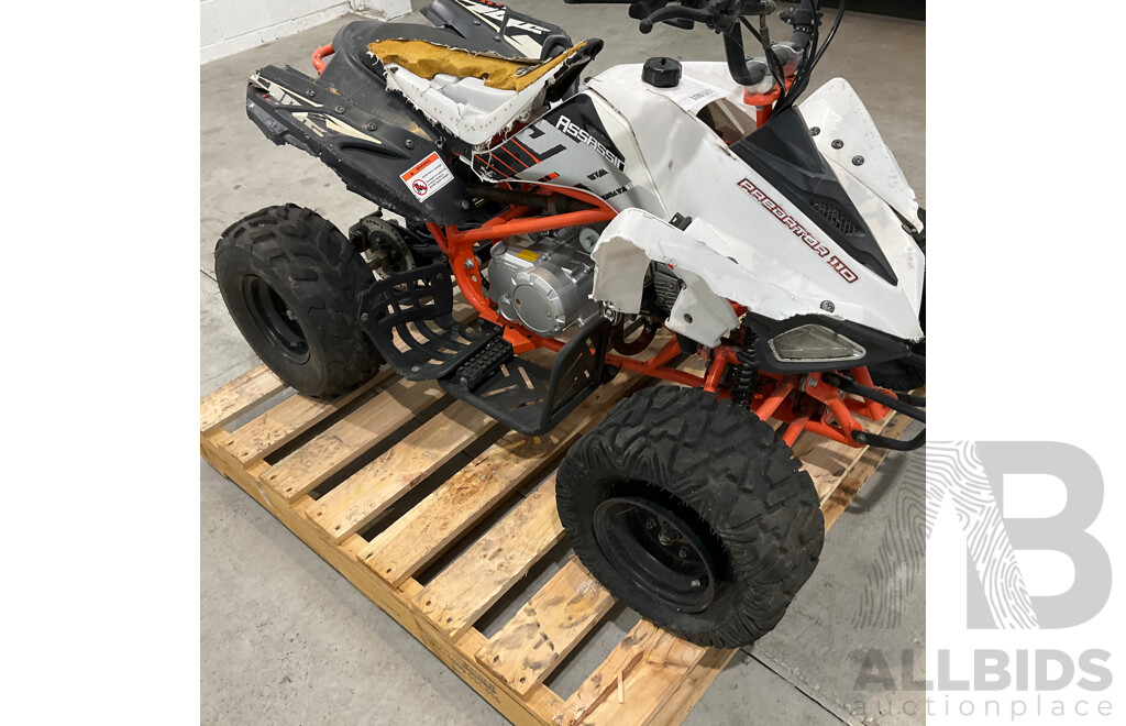 Assassin Predator 110 KIDS Quad Dirt Pit Bike Go-Kart 4-Wheeler Buggy
