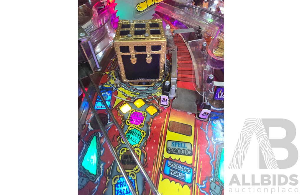 Theatre of Magic by Williams