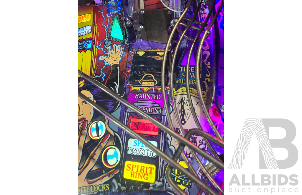 Theatre of Magic by Williams