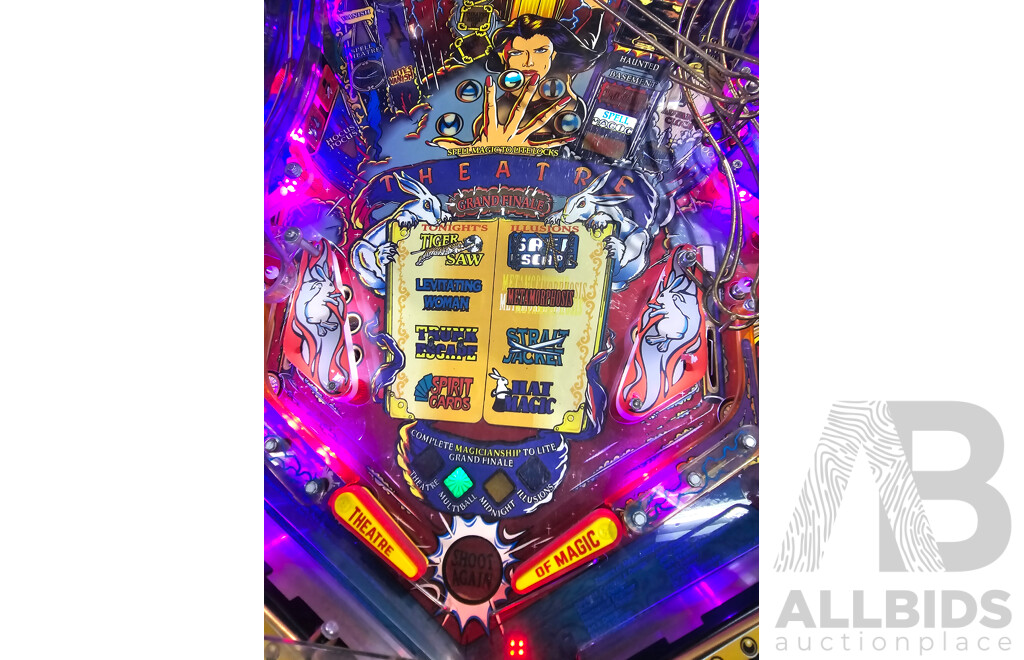 Theatre of Magic by Williams