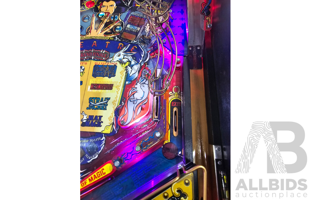 Theatre of Magic by Williams