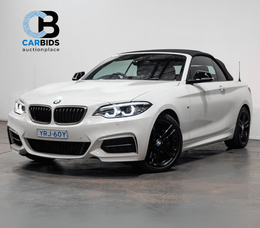 CARBIDS Online Now!