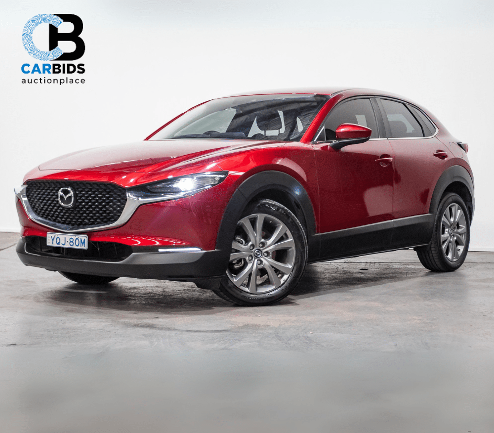 CARBIDS Online Now!