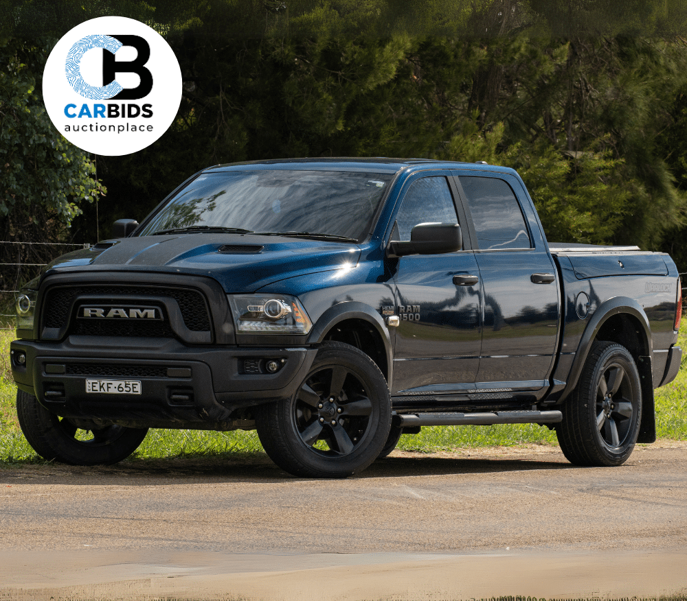 CARBIDS Online Now!