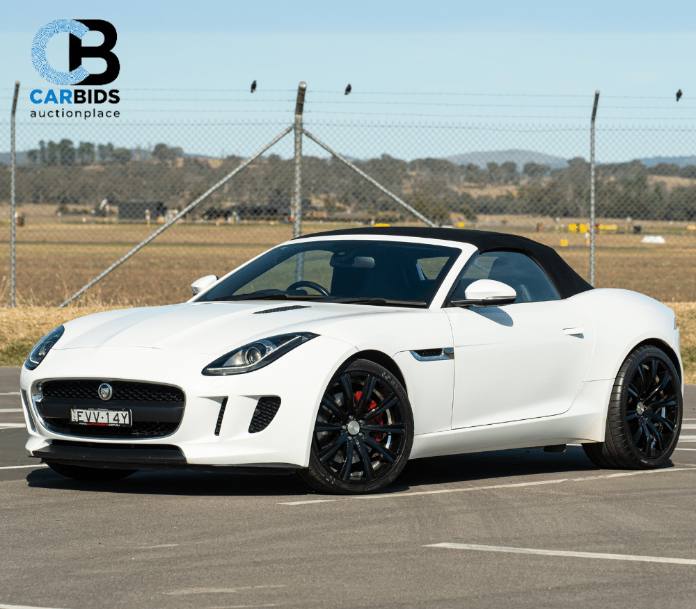 CARBIDS Online Now!