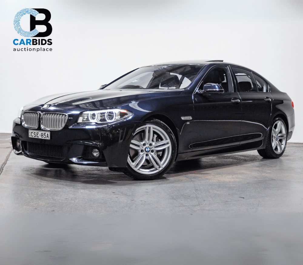 CARBIDS Online Now!
