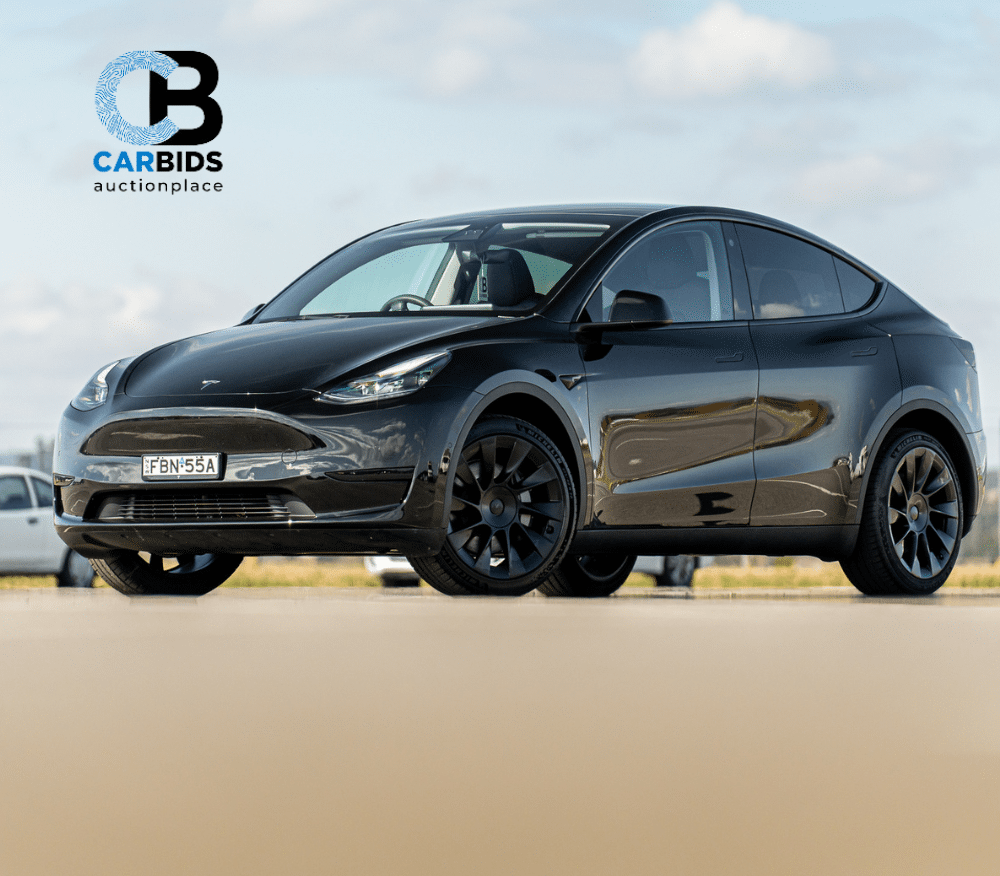 CARBIDS Online Now!