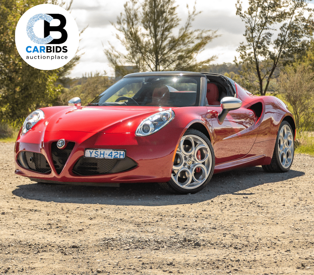 CARBIDS Online Now!